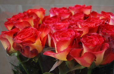 bouquet di rose