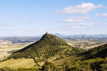 CASTILLO DE MONTELLANO