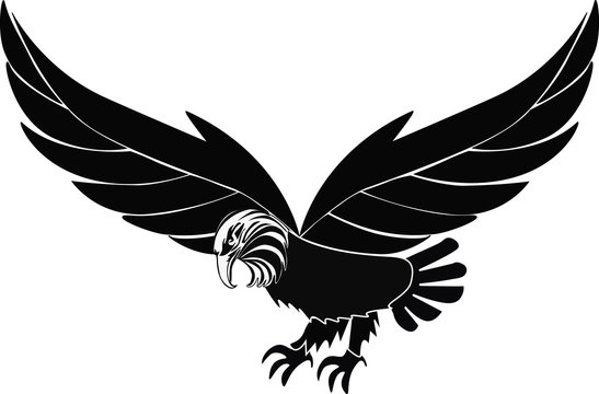 silhouette birds eagle