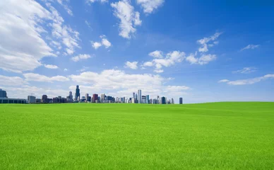 Rolgordijnen Green grass and  downtown © MP_P