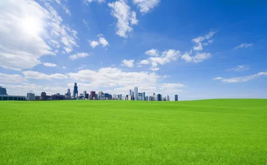  Green grass and  downtown © MP_P
