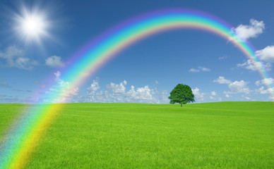 Obraz na płótnie Canvas Green field with lone tree and rainbow