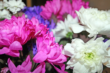 chrysanthemums 4