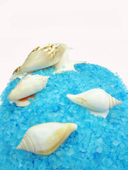 Obraz na płótnie Canvas spa sea shells and salt