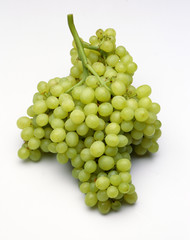 Bunch of grapes