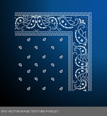 eps Vector image: texture-paisley