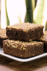 chocolate brownies with cracked peanuts on top