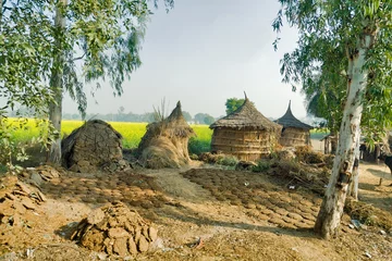 Meubelstickers mud hut, rajasthan, india © Peter Robinson
