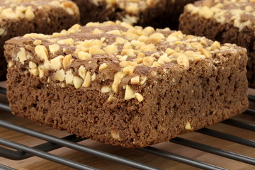chocolate brownies with cracked peanuts on top