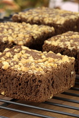chocolate brownies with cracked peanuts on top