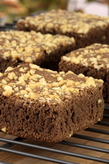 chocolate brownies with cracked peanuts on top