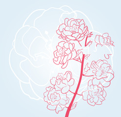 background with sakura flowers