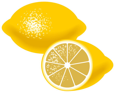 3 Best レモンイラスト Images Stock Photos Vectors Adobe Stock