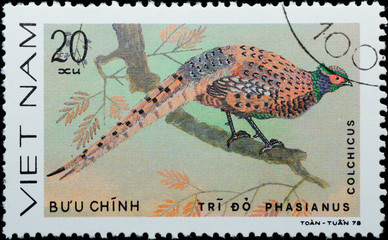 VIETNAM - CIRCA 1978:  stamp - animal ornamental bird