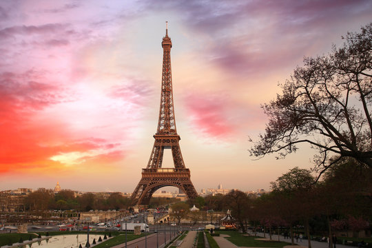 Eiifel Tower against sunrise,  Paris, France