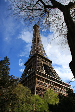 Fototapeta Eiffel tower