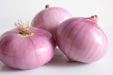 Fototapeta premium onion ,