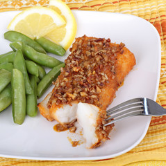 Fish Fillet Meal