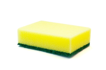 sponge