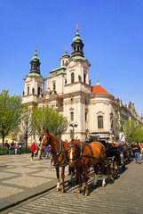 Naklejka na ściany i meble Prag St. Nikolaus Kirche - Prague St. Nicholas Cathedral 03