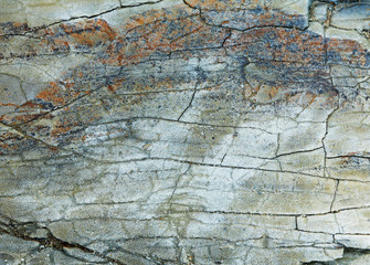 Stone Texture