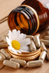 opercoli di camomilla - quattro