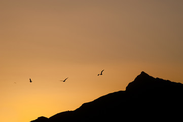 Silhouette