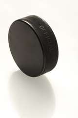 hockey puck