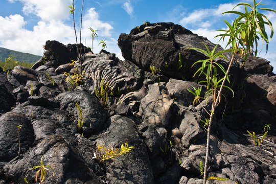 paysage chaotique de laves volcaniques refroidies, R&eacute;union