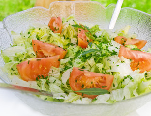 Grüner Salat mit Tomaten und Kräutern