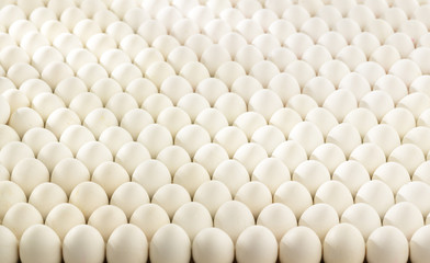 horizontal base with natural eggs