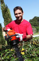 jardinier, pépiniériste, paysagiste taille une haie