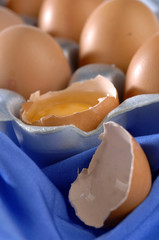 wielkanocne jajka © gal