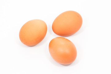 Egg