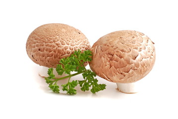 Champignons