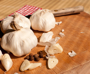 Garlic