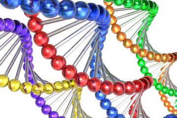 Color DNA molecules