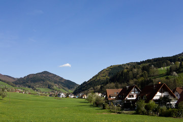 Obraz premium Schwarzwald Wiesen,Glottertal