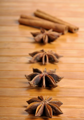 Fototapeta premium Cinnamon and star anise