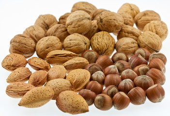 fruits secs : noix, noisettes et amandes
