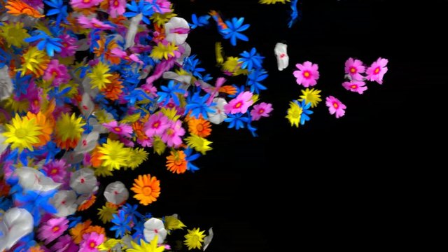 flower transition