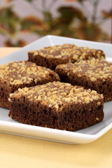 chocolate brownies with cracked peanuts on top