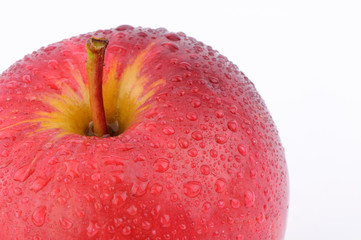 Closeup of Red apple on white background