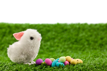 easter eggs on green grass