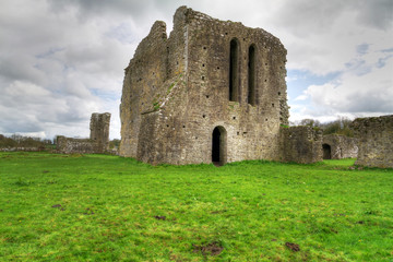 Fototapeta na wymiar 12th Century Ballybeg Priory w hrabstwie Cork - Irlandia