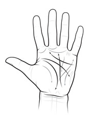 Chiromancy Chart of a Palm (L): lines, ways, mounts and valleys