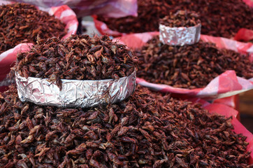 Fried grasshoppers at a market in Oaxaca, Mexico