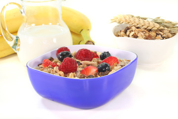 Müsli mit Milch, frischen Obst und Nüssen