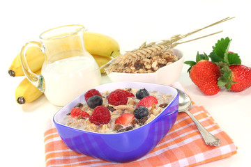 Müsli mit Milch, frischen Obst und Nüssen
