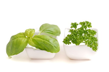 Kraut, petersilie und basilikum